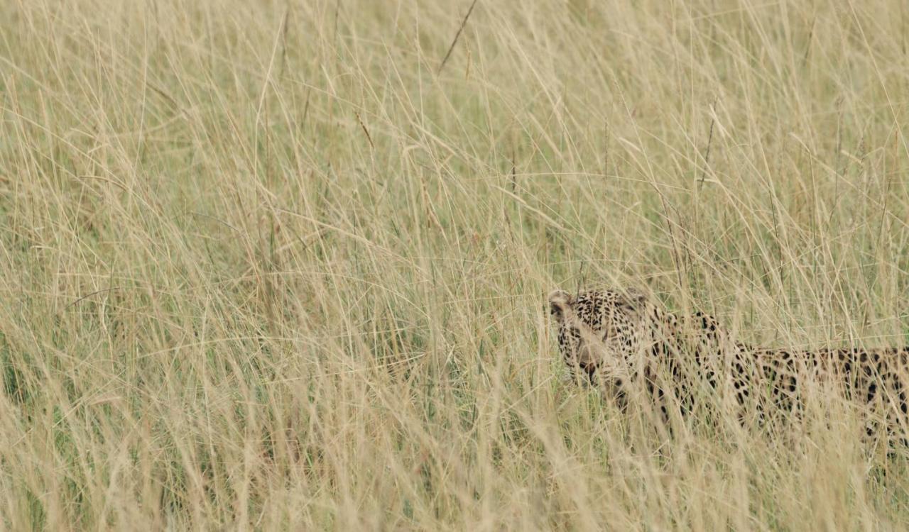 Ololo Safari Lodge Найробі Екстер'єр фото
